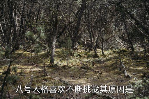 八號人格喜歡不斷挑戰(zhàn)其原因是