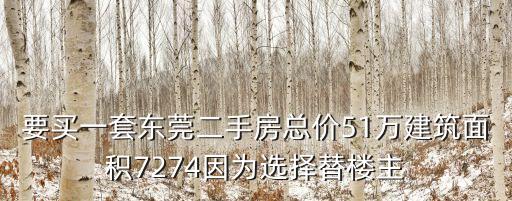 東莞雁水岸豪門的二手房，要買一套東莞二手房總價51萬建筑面積7274因為選擇替樓主