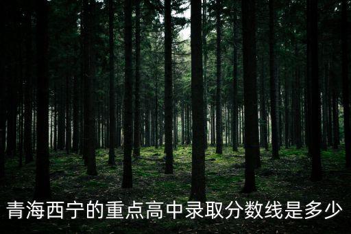 青海西寧的重點高中錄取分數線是多少