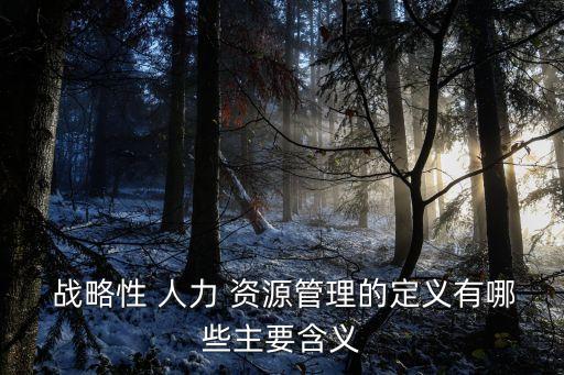 戰略人力資源管理,人力資源戰略思維