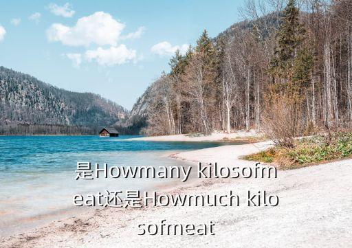 是Howmany kilosofmeat還是Howmuch kilosofmeat