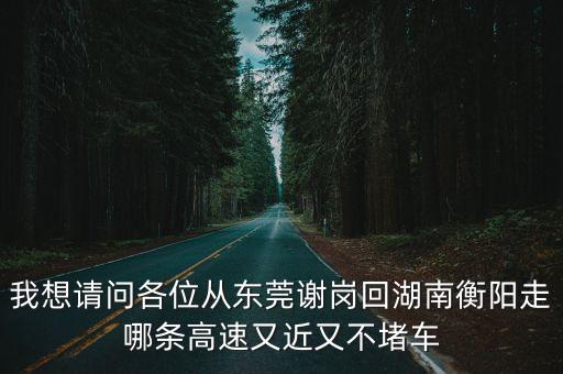 我想請(qǐng)問各位從東莞謝崗回湖南衡陽走哪條高速又近又不堵車