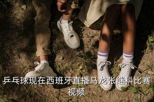 乒乓球現在西班牙直播馬龍張繼科比賽視頻
