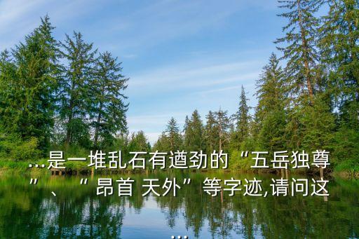 ...是一堆亂石有遒勁的“五岳獨(dú)尊”、“ 昂首 天外”等字跡,請(qǐng)問這...