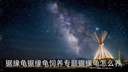 鋸緣龜鋸緣龜飼養(yǎng)專題鋸緣龜怎么養(yǎng)