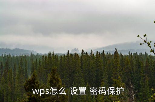  wps怎么 設置 密碼保護