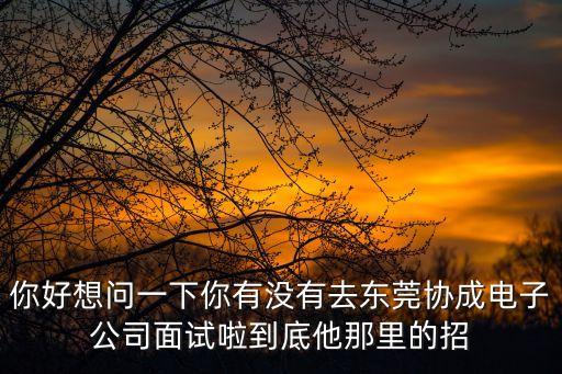 你好想問一下你有沒有去東莞協成電子公司面試啦到底他那里的招