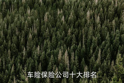 車險保險公司十大排名