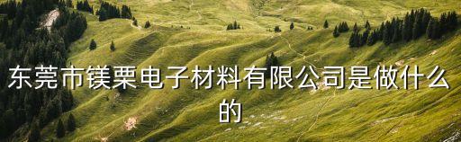 東莞市鎂栗電子材料有限公司是做什么的