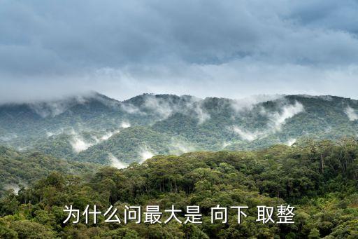 向下取整,什么是向下取整?