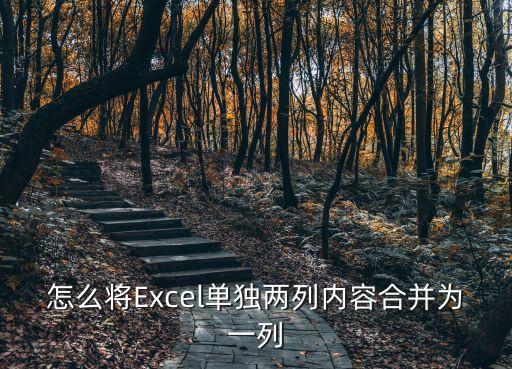 怎么將Excel單獨(dú)兩列內(nèi)容合并為一列