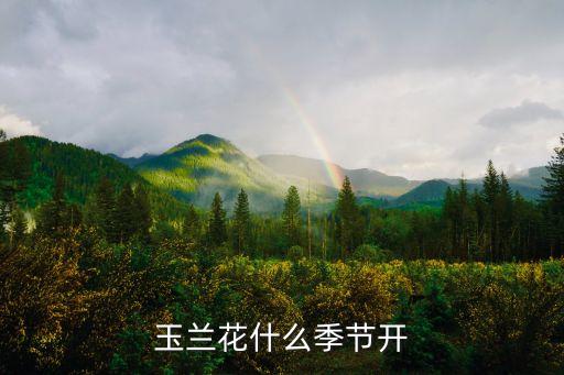 玉蘭花期，玉蘭花是幾月開花的