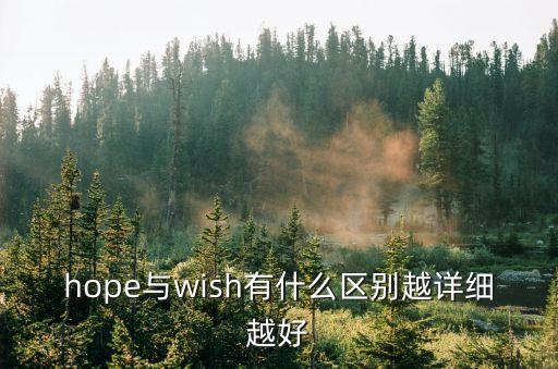 hope與wish有什么區別越詳細越好