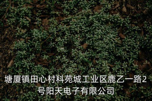 塘廈鎮(zhèn)田心村科苑城工業(yè)區(qū)鹿乙一路2號陽天電子有限公司