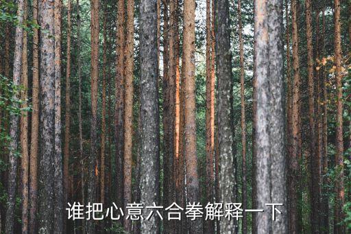 心意六合拳，誰把心意六合拳解釋一下