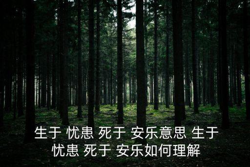 生于憂患死于安樂,生于憂患，死于安樂"出自孟子