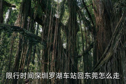 2020年深圳往東莞封路了沒有，深圳龍崗到東莞長安除了16路和高速就沒有別的車了嗎直達寶9