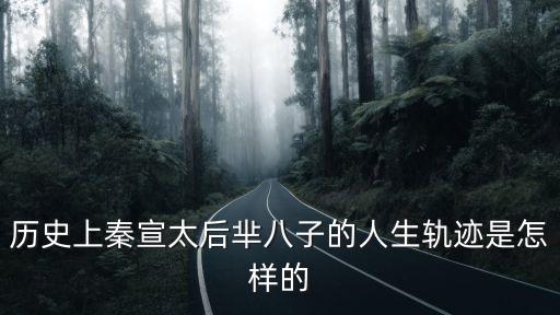 羋八子簡介，歷史上秦宣太后羋八子的人生軌跡是怎樣的