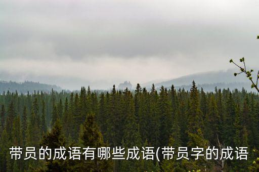 帶員的成語有哪些成語(帶員字的成語