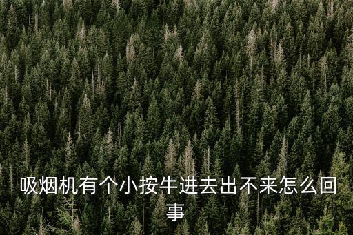  吸煙機有個小按牛進去出不來怎么回事