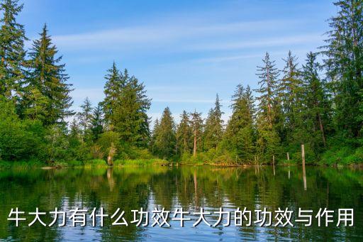 牛大力,牛大力入藥又名蓮藕有助清熱解毒