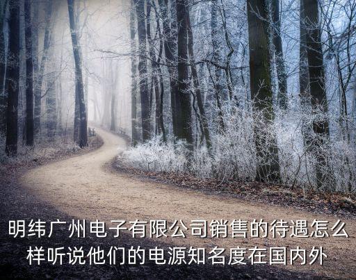 明緯廣州電子有限公司銷售的待遇怎么樣聽說他們的電源知名度在國內外