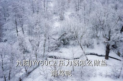 九陽JYY50C2 壓力鍋怎么做鹽焗雞呢