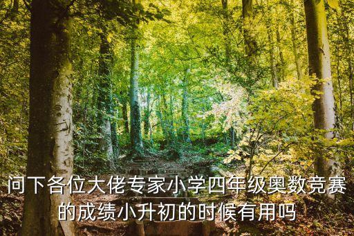 東莞小升初成績(jī)有用嗎，問下各位大佬專家小學(xué)四年級(jí)奧數(shù)競(jìng)賽的成績(jī)小升初的時(shí)候有用嗎