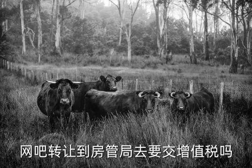 網(wǎng)吧轉讓到房管局去要交增值稅嗎