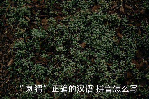 “ 刺猬”正確的漢語 拼音怎么寫