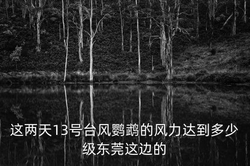 這兩天13號臺風鸚鵡的風力達到多少級東莞這邊的