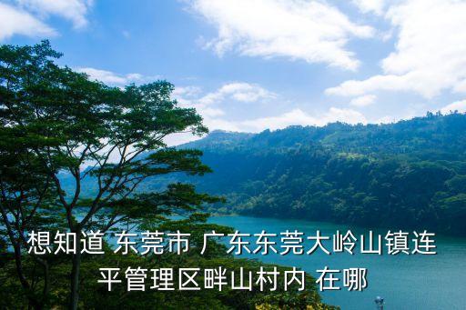 想知道 東莞市 廣東東莞大嶺山鎮連平管理區畔山村內 在哪