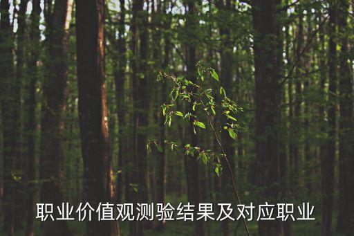 職業價值觀測驗結果及對應職業