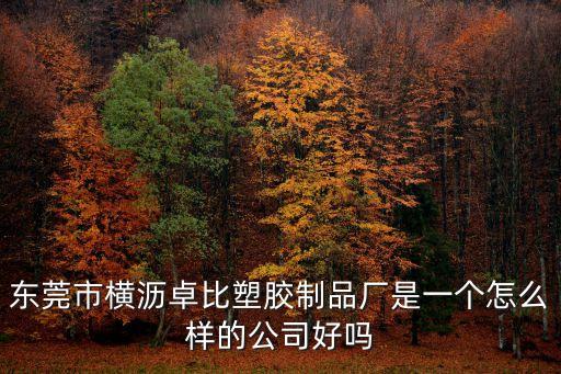 東莞市橫瀝卓比塑膠制品廠是一個怎么樣的公司好嗎