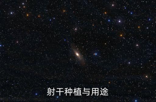 射干種植與用途