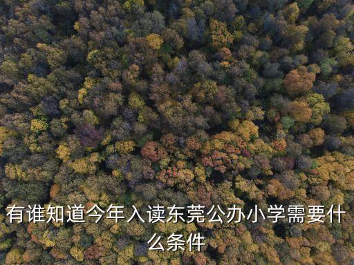 有誰知道今年入讀東莞公辦小學需要什么條件