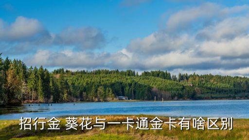  招行金 葵花與一卡通金卡有啥區(qū)別