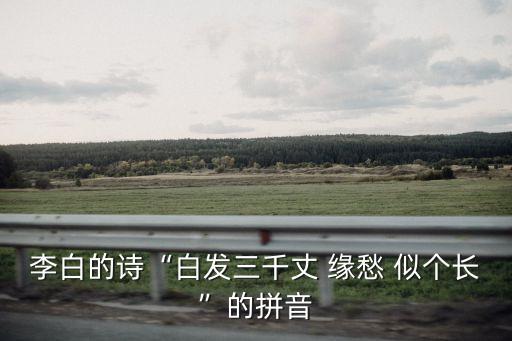 緣愁似個長,白發(fā)三千尺，緣愁似個長