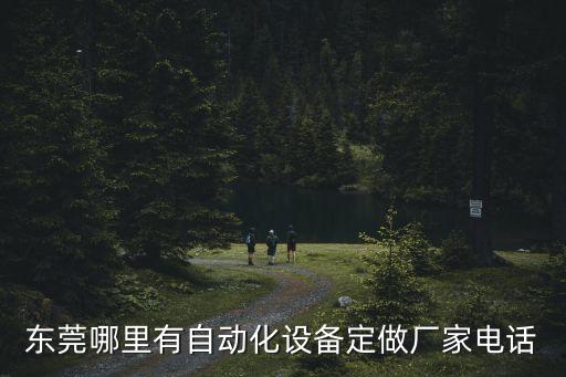 東莞懿東自動化設備，手機喇叭磁路機哪家比較好