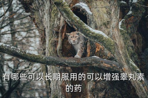有哪些可以長期服用的可以增強睪丸素的藥