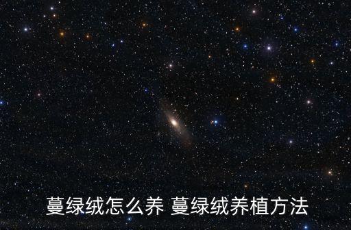  蔓綠絨怎么養(yǎng) 蔓綠絨養(yǎng)植方法