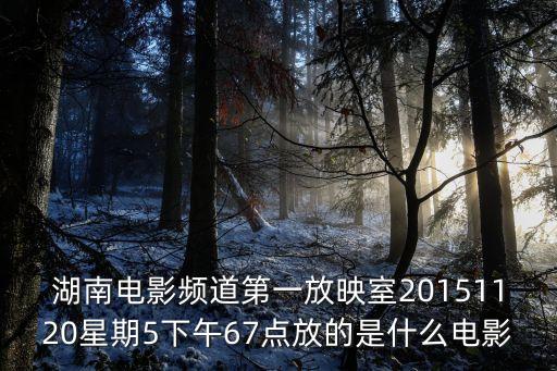 湖南電影頻道第一放映室20151120星期5下午67點放的是什么電影