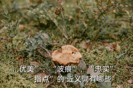 ...優(yōu)美”、“波痕”、“忠實(shí)”、“ 指點(diǎn)”的 近義詞有哪些