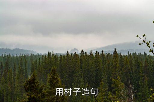村造句，村子怎么造句