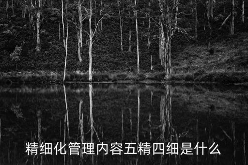 精細(xì)化管理內(nèi)容五精四細(xì)是什么