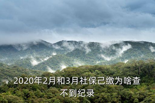 2020年2月和3月社保己繳為啥查不到紀錄