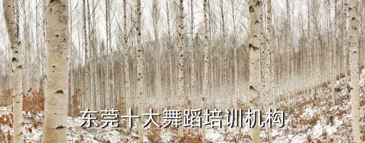 東莞十大舞蹈培訓(xùn)機(jī)構(gòu)