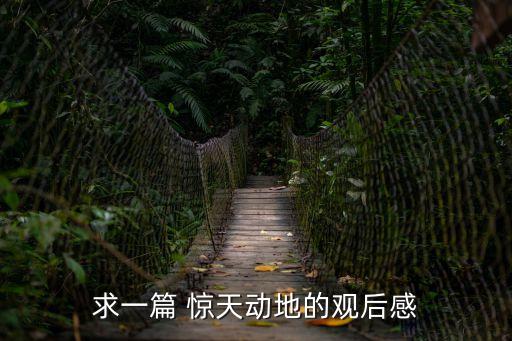 驚天動地觀后感，作文驚天動地的觀后感