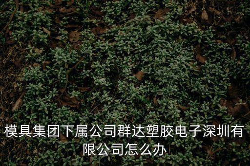 東莞群達電子廠，東莞市萬群達化工有限公司怎么樣