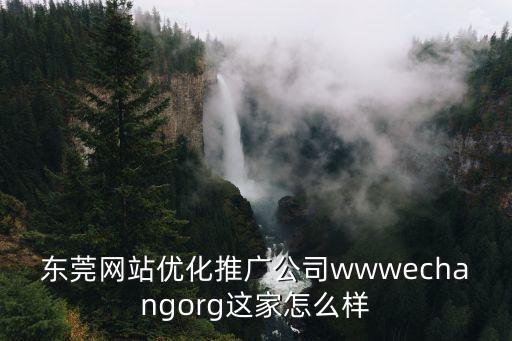 東莞網(wǎng)絡推廣威星hfqjwl作詞，環(huán)企網(wǎng)絡 這有公司是在東莞嗎旺道營銷優(yōu)化軟件是不是他們旗下的牌